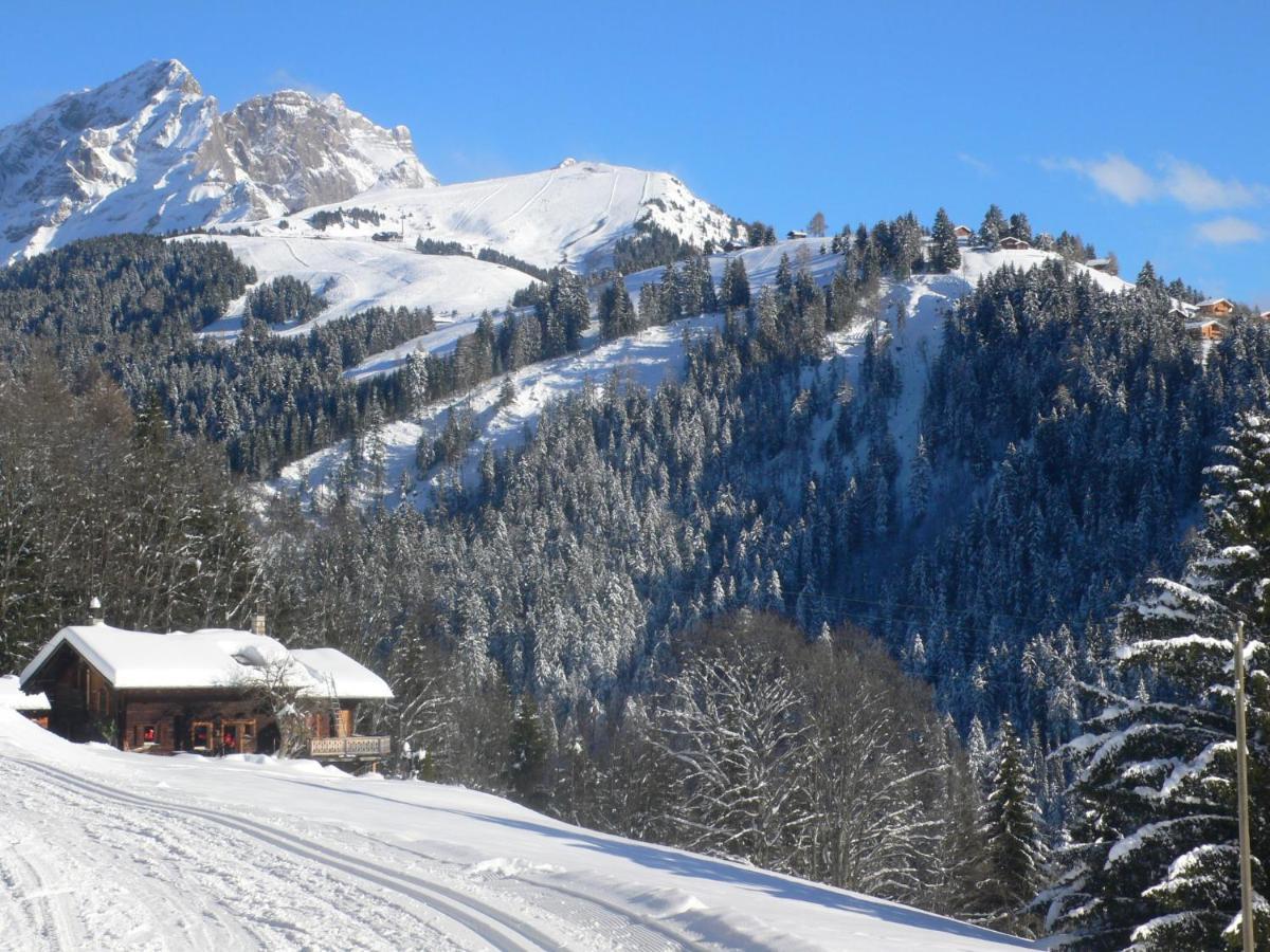 Studio La Berciere 7 By Interhome Villars-sur-Ollon Kültér fotó